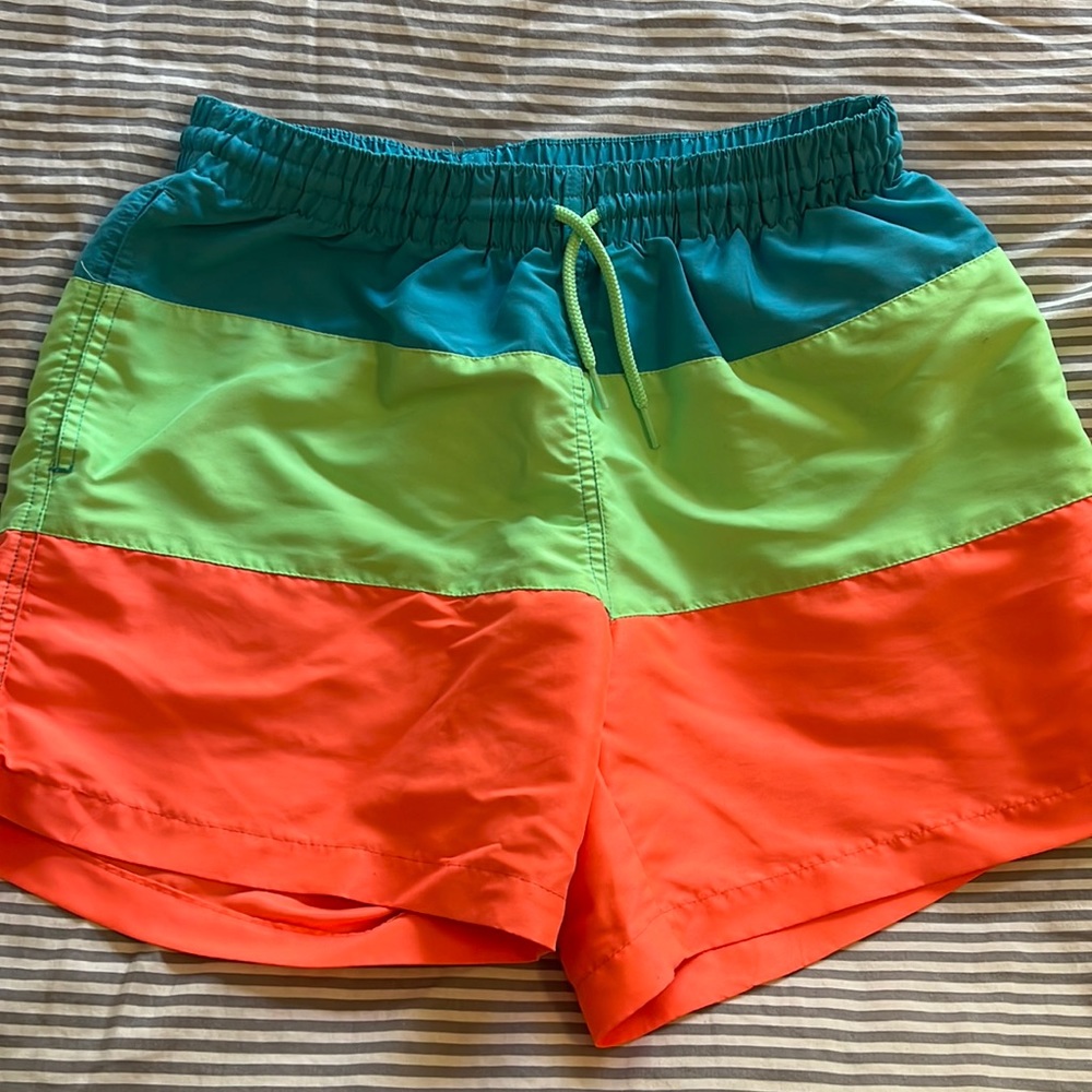 Chubbies Bathing Suit 5.5in Inseam